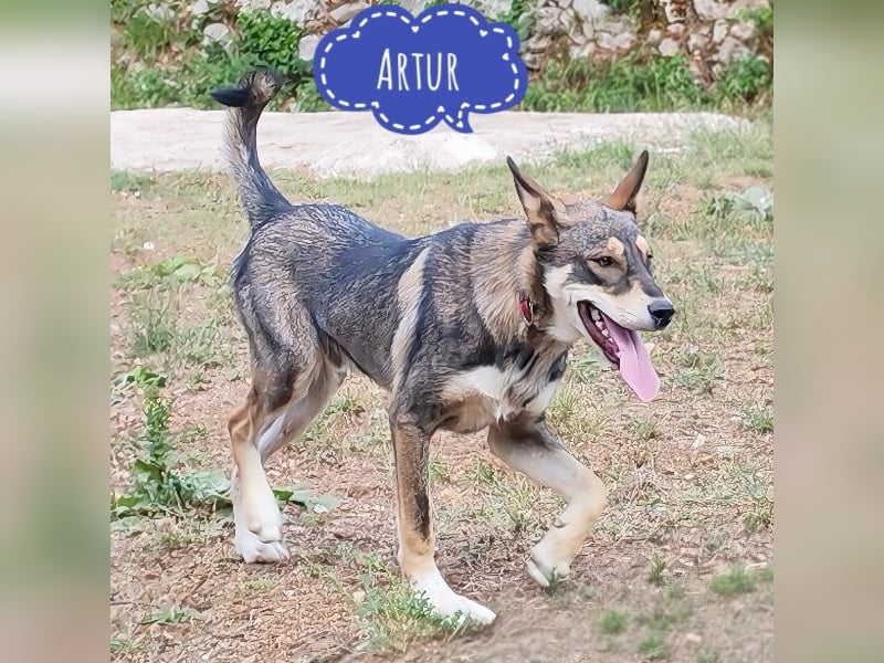 Artur ein Sonnenschein