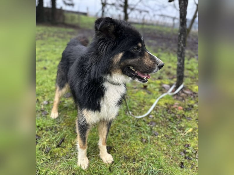 Ljubo ein ganz toller Kerl