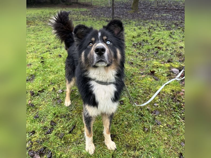 Ljubo ein ganz toller Kerl