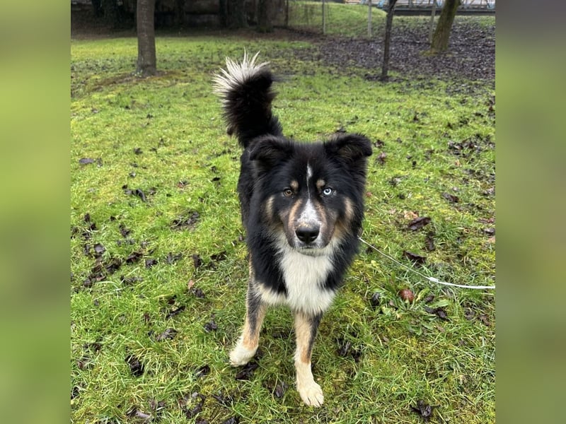 Ljubo ein ganz toller Kerl