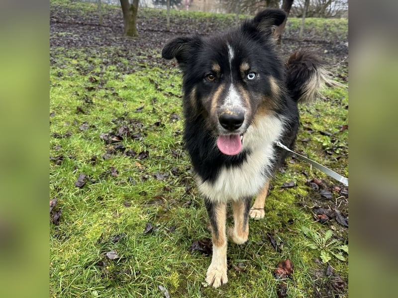 Ljubo ein ganz toller Kerl