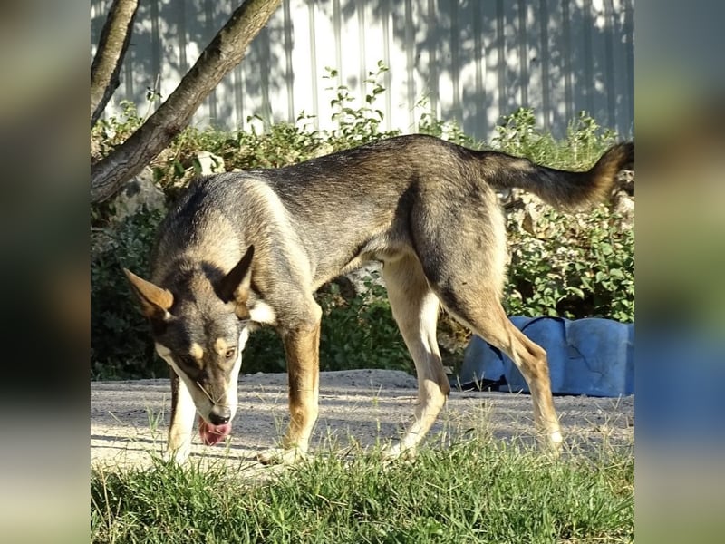 Artur ein Sonnenschein