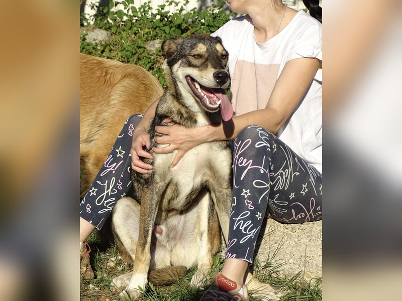 Artur ein Sonnenschein