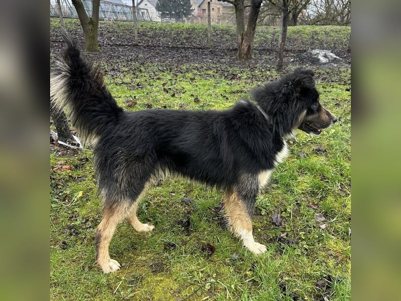 Ljubo ein ganz toller Kerl