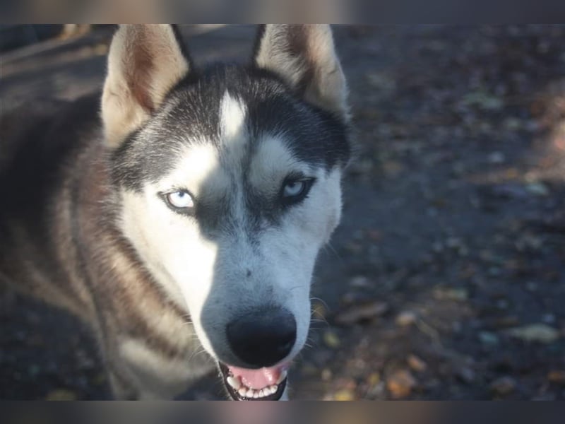 Diego, möchte die Natur erkunden