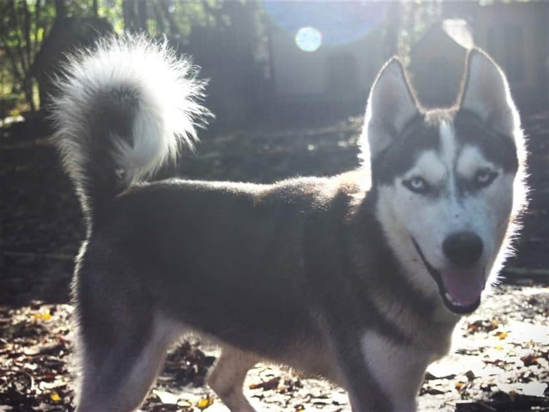 Diego, möchte die Natur erkunden