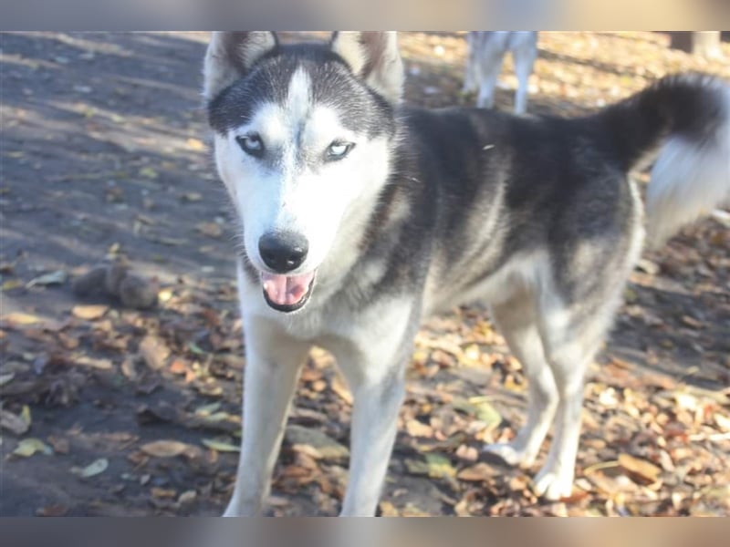 Diego, möchte die Natur erkunden