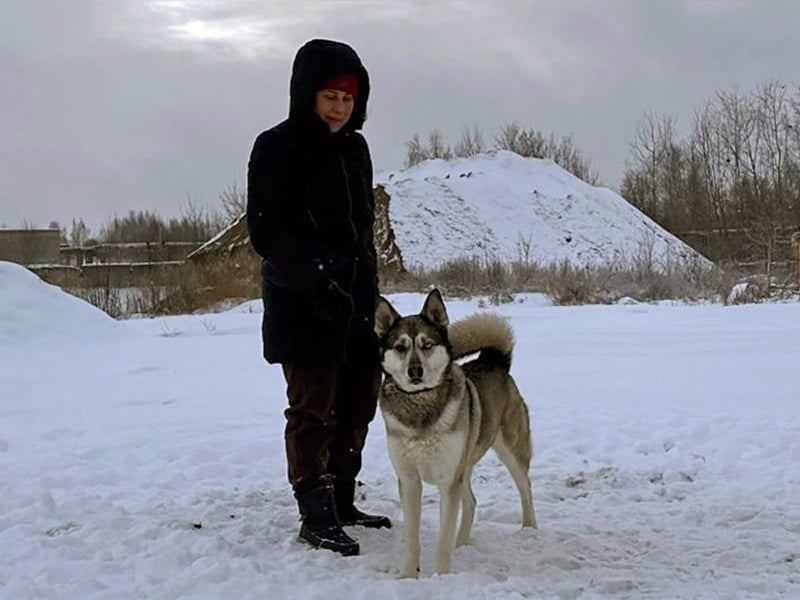 Pascho geb. 03/2022 - energiegeladener und lernwilliger Husky (Mix) sucht sportliche Rasseliebhaber!