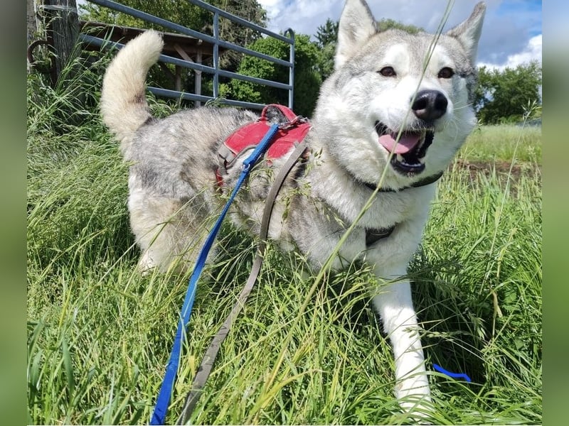 Aurora sucht ein neues