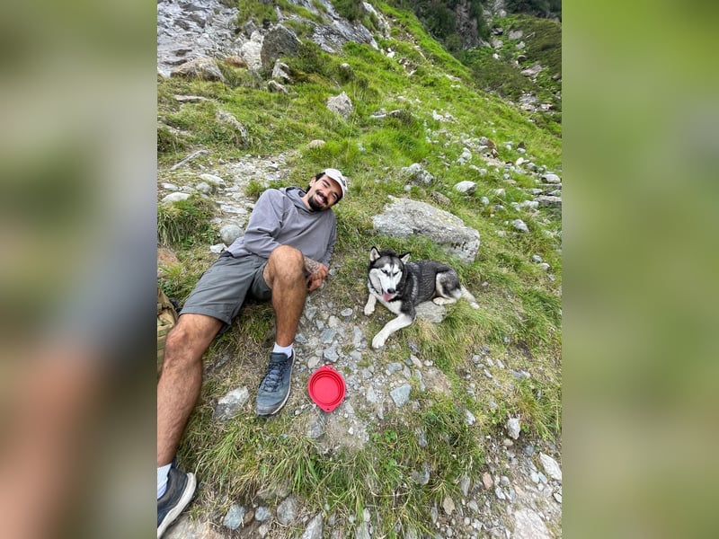 Eira: Eine Seele von Husky sucht ihr endgültiges Glück