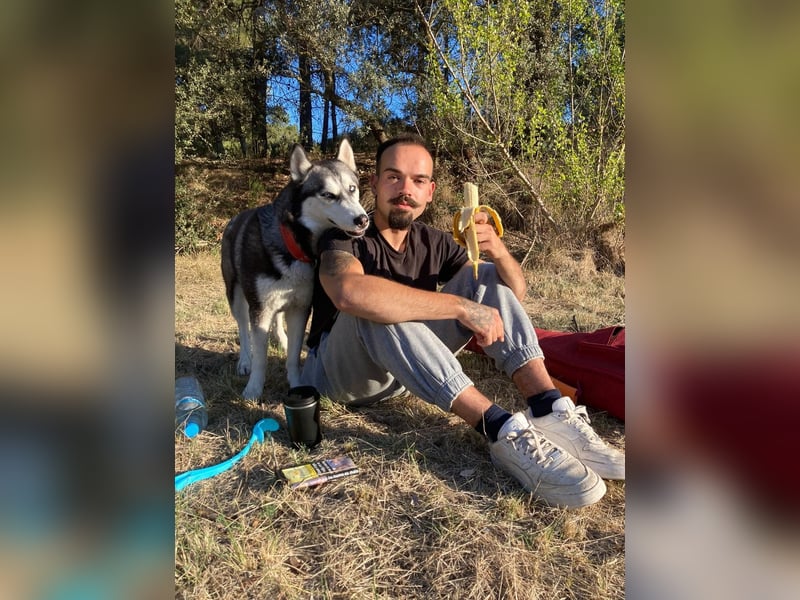 Eira: Eine Seele von Husky sucht ihr endgültiges Glück