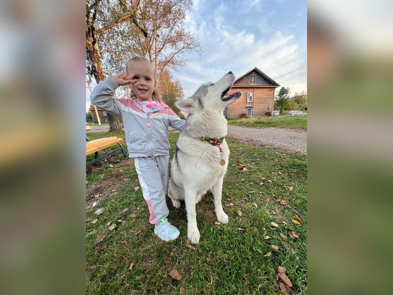 KRIT- perfekter Familienhund