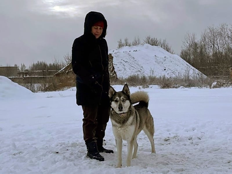 Pascho 03/2022 - energiegeladener und lernwilliger Husky (Mix) sucht sportliche Rasseliebhaber!