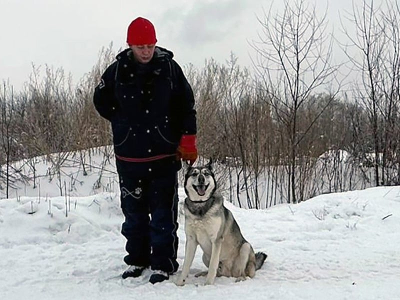 Pascho 03/2022 - energiegeladener und lernwilliger Husky (Mix) sucht sportliche Rasseliebhaber!