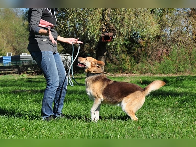 Fabio sucht Spaß und Aktivität