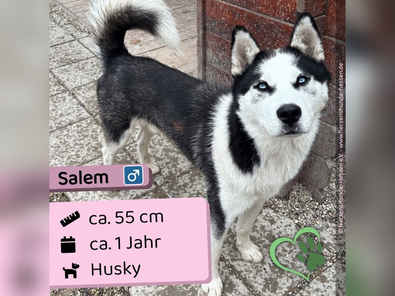 Salem