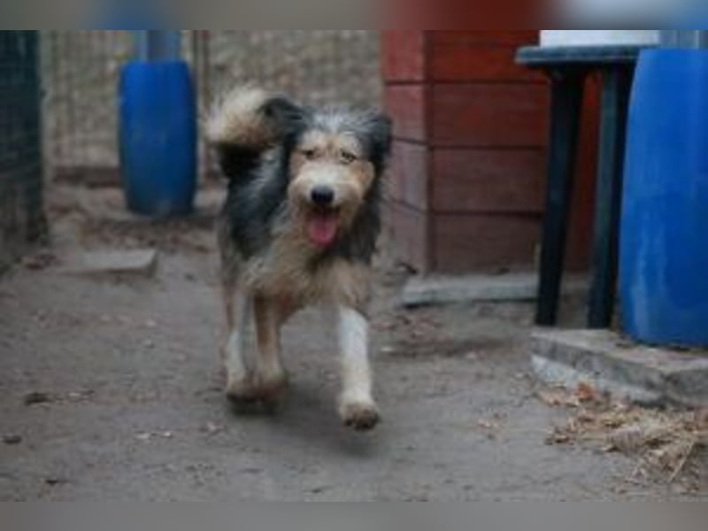 Update: MERLIN- auf PS in mit ÜO in 31603 Diepenau