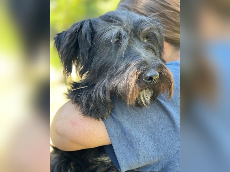 Myke LM - Verspielter Jungspund mit ganz viel Herz