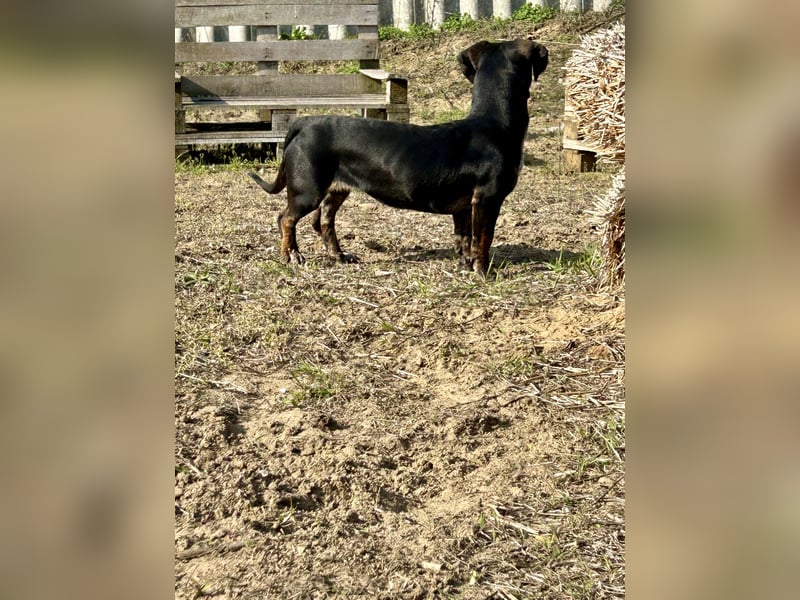 Lotti möchte geliebt werden.