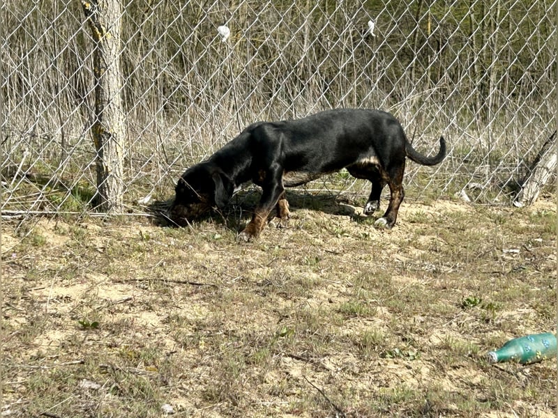 Lotti möchte geliebt werden.