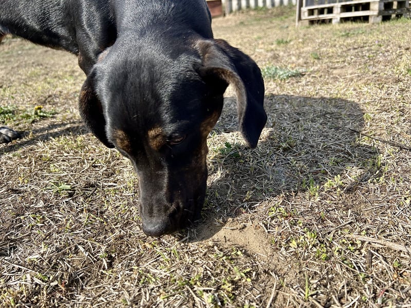 Lotti möchte geliebt werden.