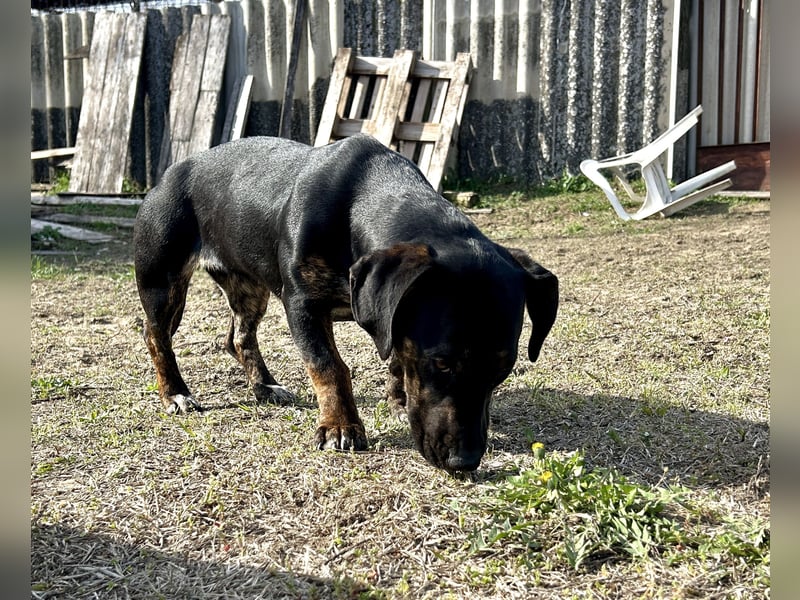 Lotti möchte geliebt werden.