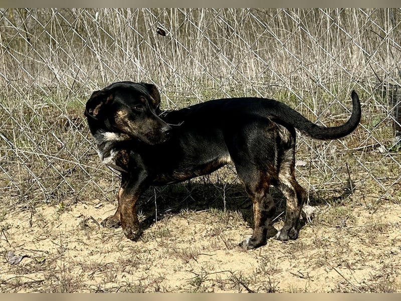 Lotti möchte geliebt werden.