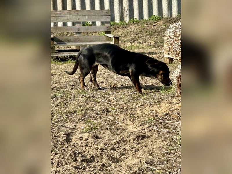 Lotti möchte geliebt werden.
