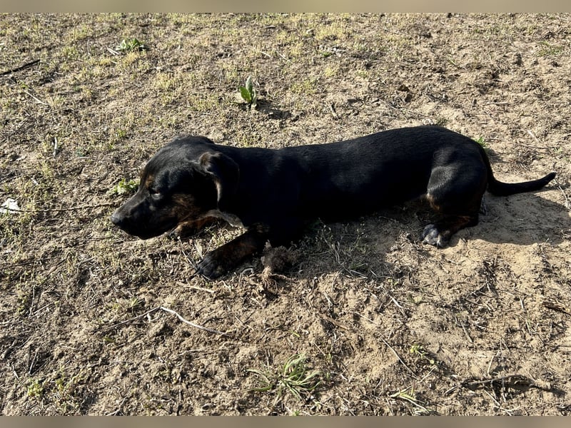 Lotti möchte geliebt werden.