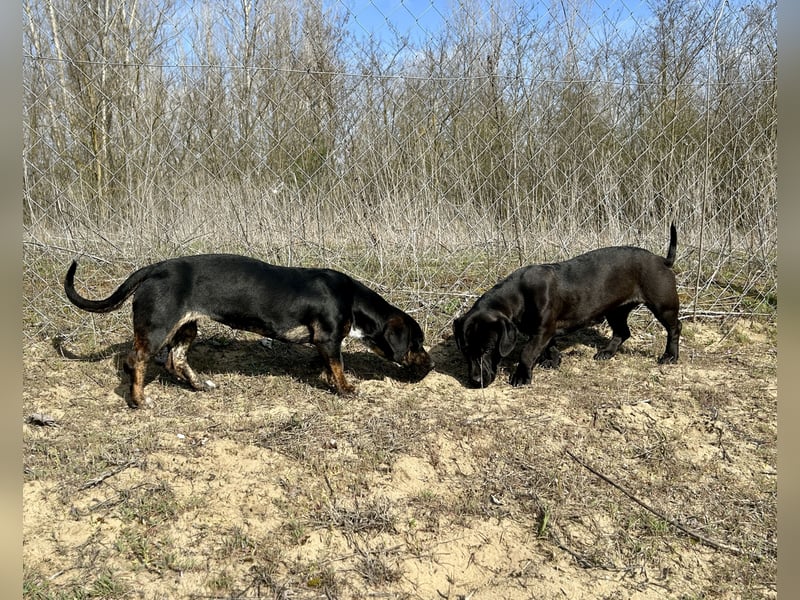 Lotti möchte geliebt werden.