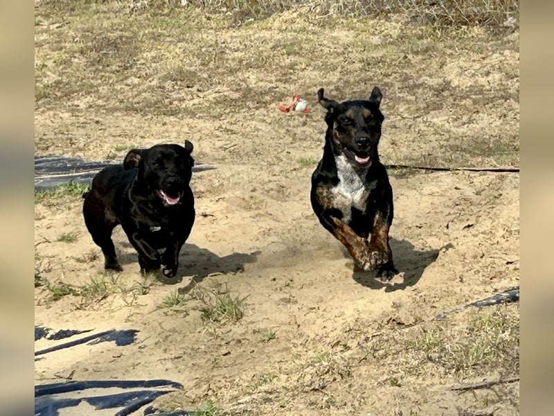 Lotti möchte geliebt werden.