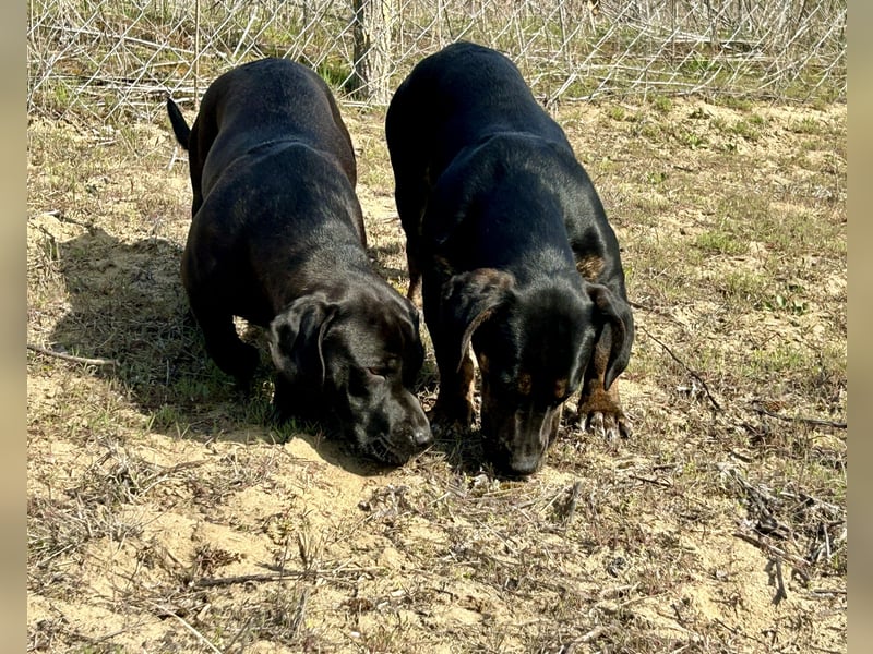 Lotti möchte geliebt werden.