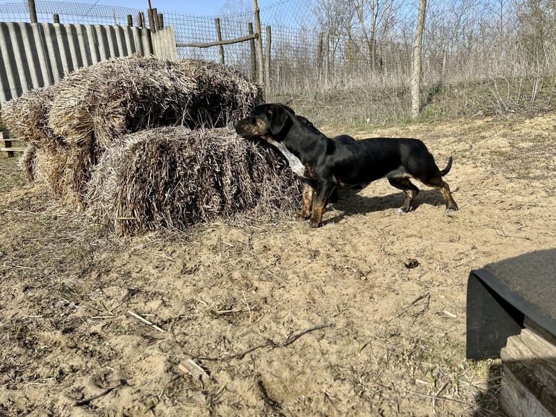 Lotti möchte geliebt werden.
