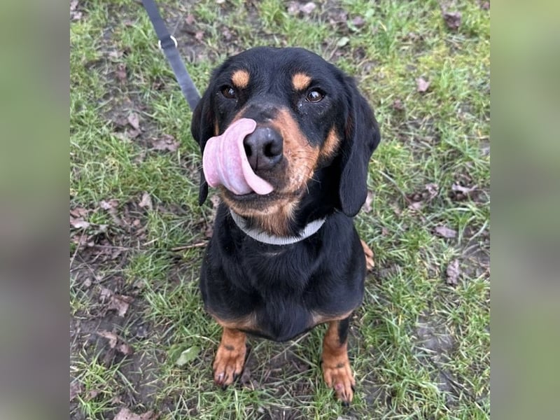 Tony ein trauriger Schatz