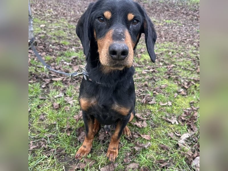 Tony ein trauriger Schatz