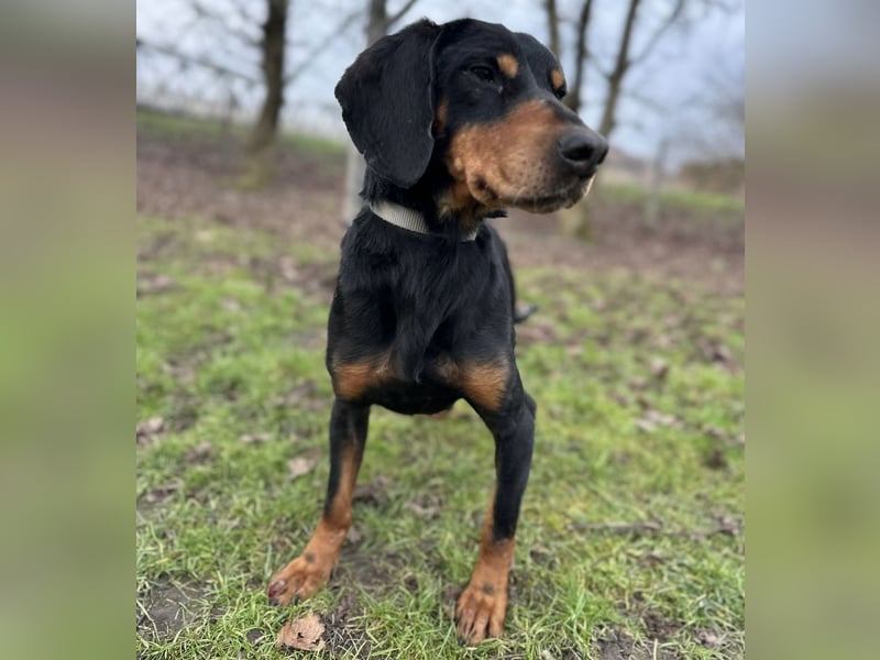 Tony ein trauriger Schatz