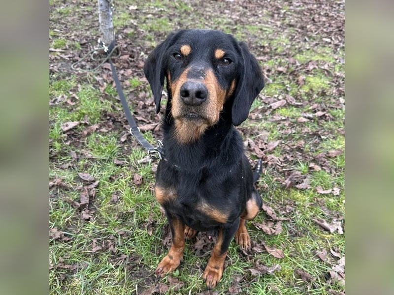 Tony ein trauriger Schatz