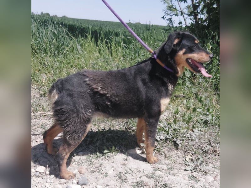 Kenda eine sanfte Seele