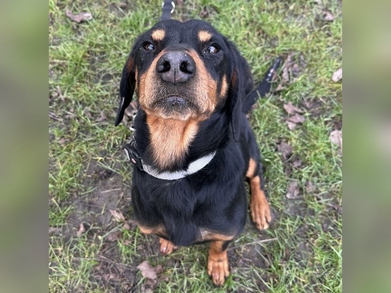 Tony ein trauriger Schatz