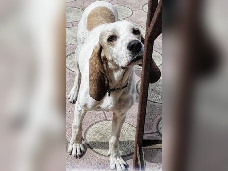 Bonita, möchte endlich glücklich sein