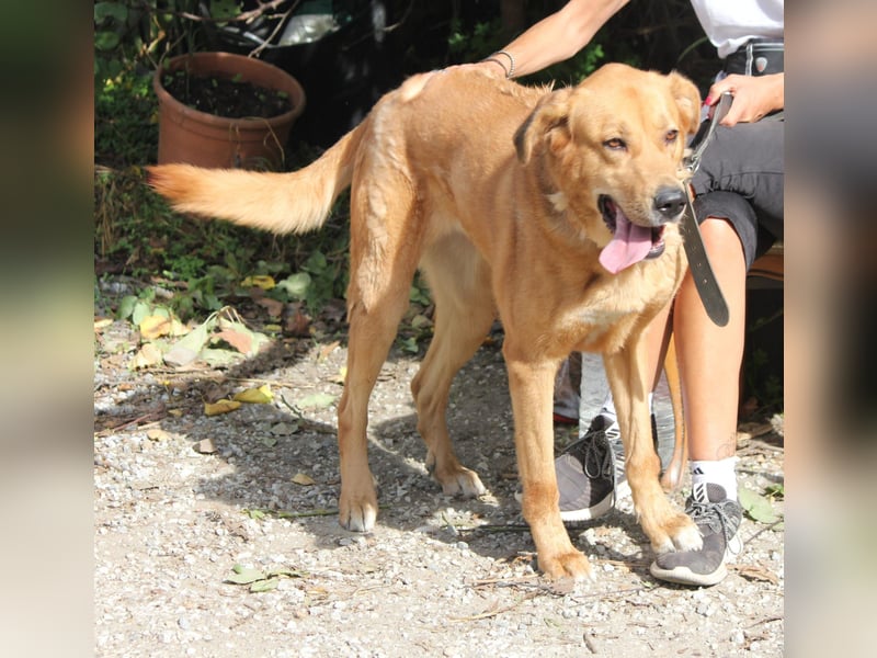 Traumhafte Noa wünscht sich eine Familie