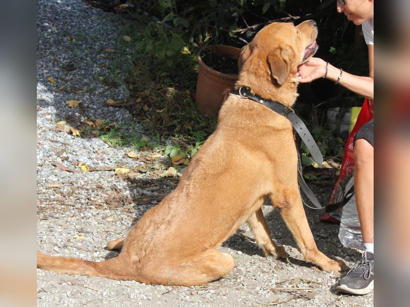 Traumhafte Noa wünscht sich eine Familie