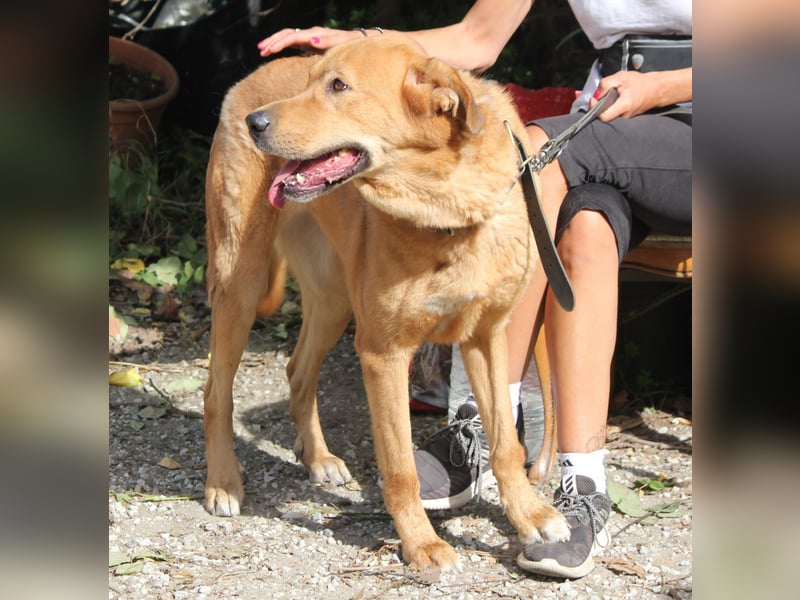 Traumhafte Noa wünscht sich eine Familie