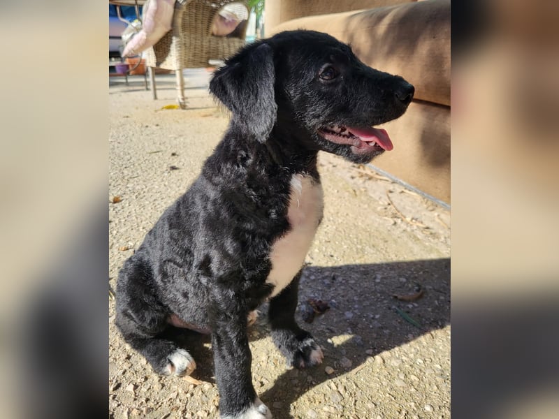 Bohdi wartet auf seine Familie