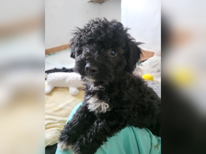 Süße Amara wartet auf dich