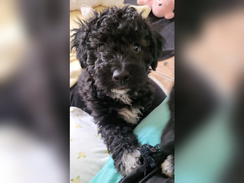 Süße Amara wartet auf dich