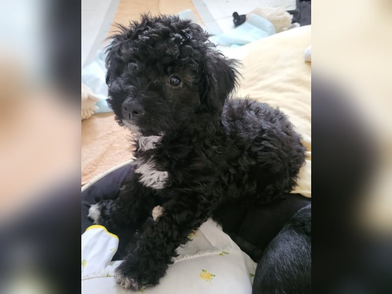 Süße Amara wartet auf dich