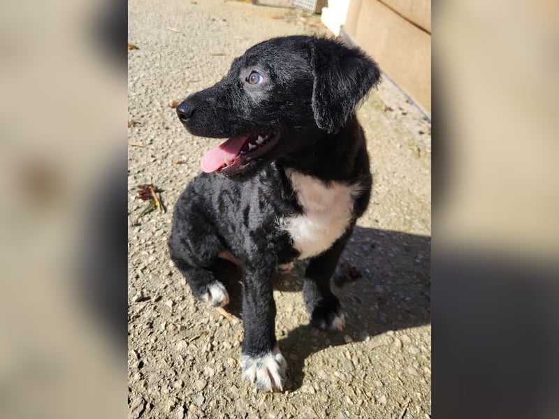 Bohdi wartet auf seine Familie