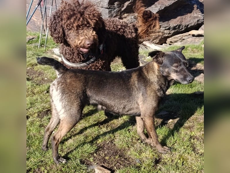 Caiden wünscht sich ein eigenes Körbchen