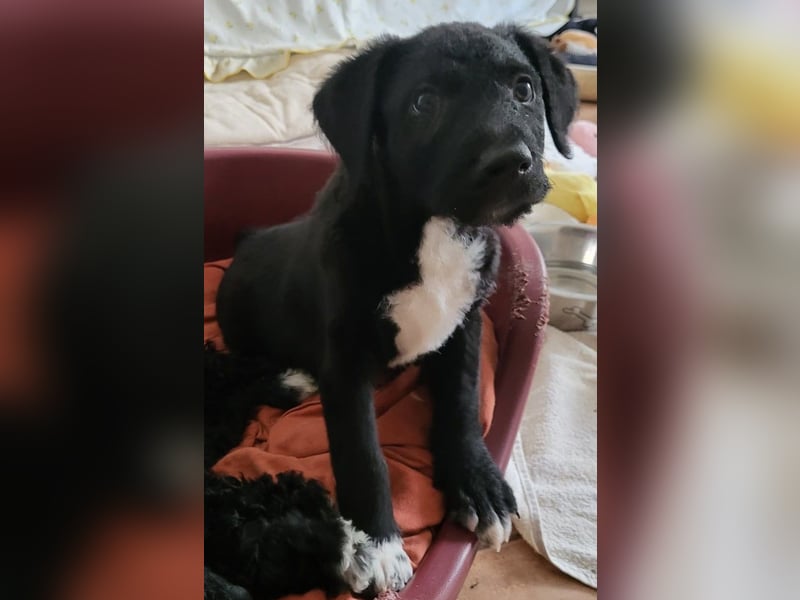 Bohdi wartet auf seine Familie